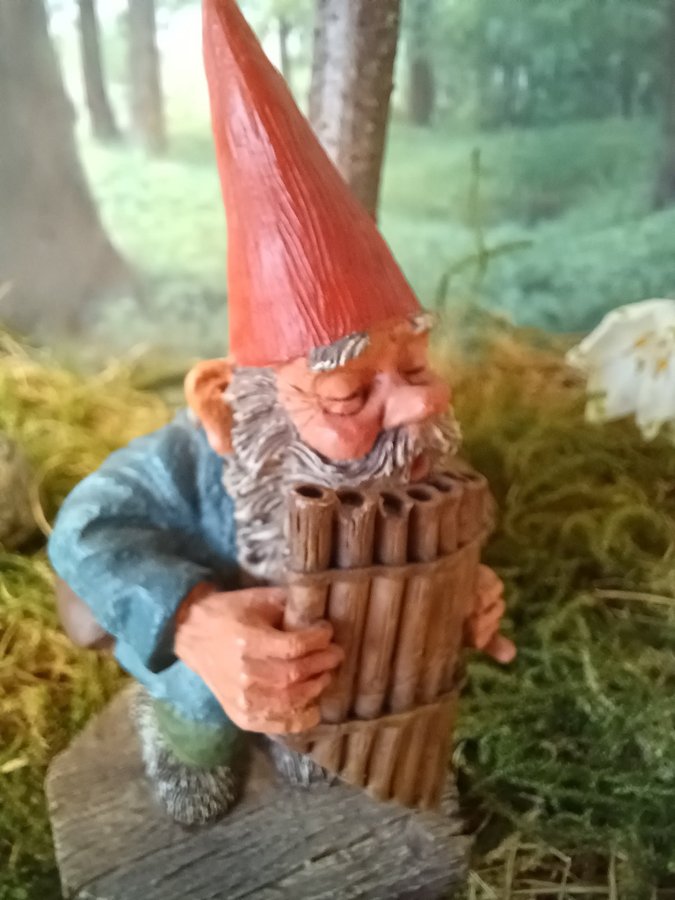 Gnomes Tomtar Rien Poortvliet