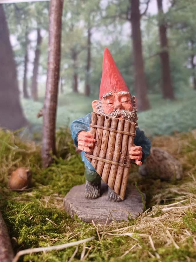 Gnomes Tomtar Rien Poortvliet