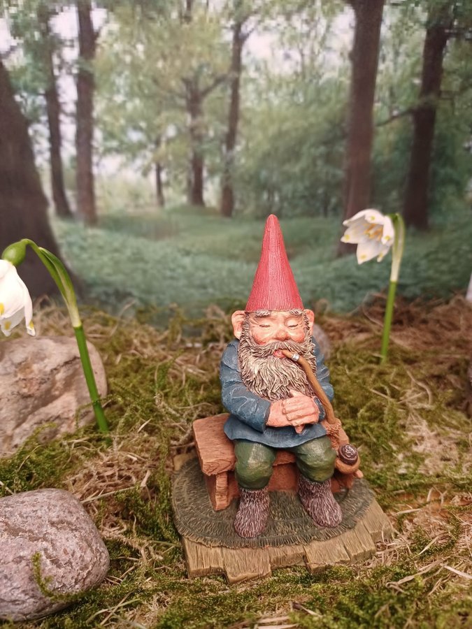 Gnomes Tomtar Rien Poortvliet