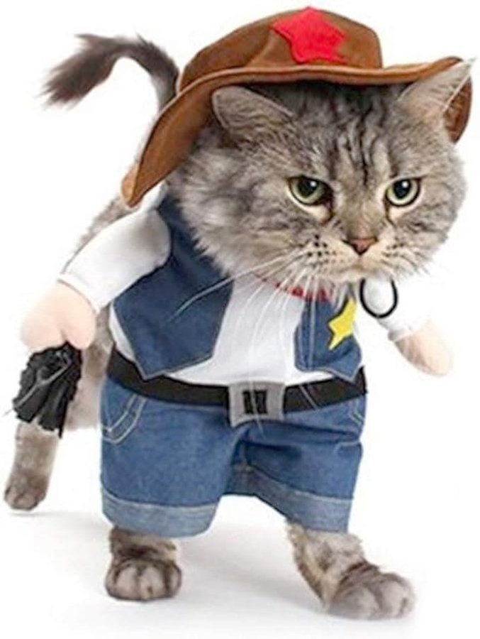 KattkostymCowboydräkt med hatt halloweenkostymer för katt/liten hund (XS)