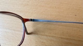 Frank Custom progressiva glasögon titan unisex 49 ¤ 20