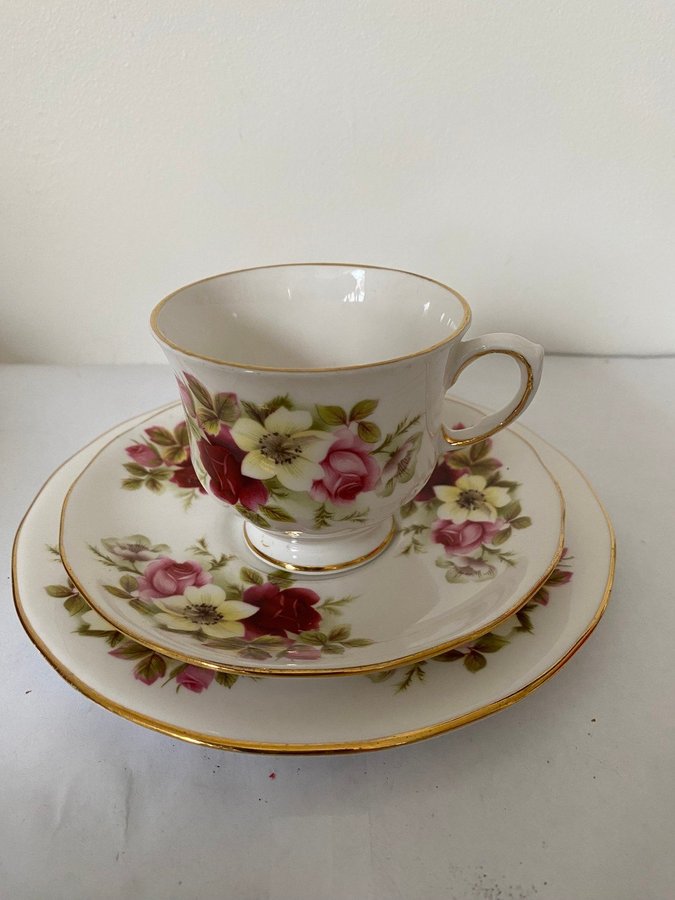 KAFFESERVIS QUEEN ANNE FINE BONE CHINA ENGLAND 19 DLEAR