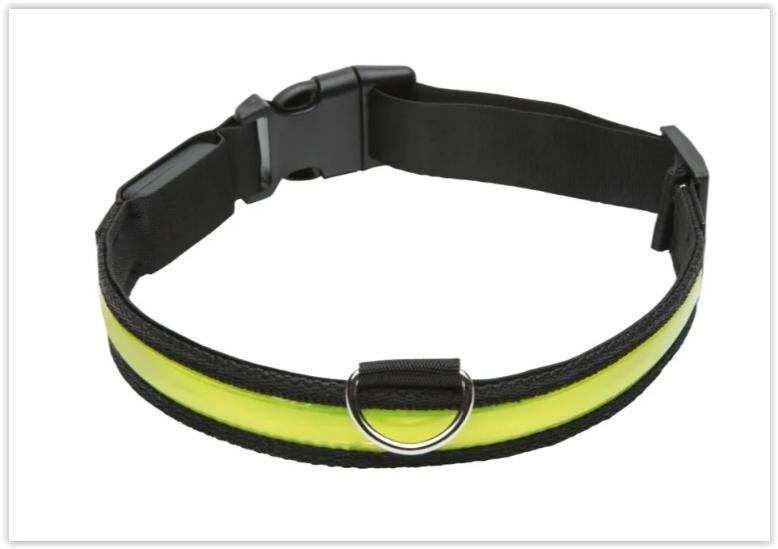 Hundhalsband med LED-lampa - Ledsavers - Storlek Large *NYTT* *SNABB FRAKT*