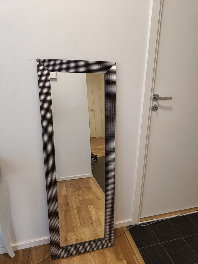 Spegel / Mirror 45cm x 130cm