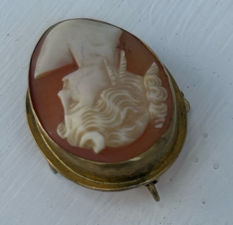 Elegant Antik Cameo Brosch - Tidlös Skönhet och Historia