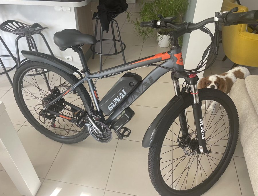 Elcykel 48V motor 29” 21 tums däcksnöcykel fullfjädring 21-växlad MTB