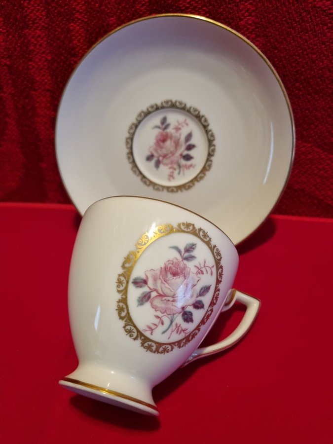 Vintage Kgl Pr Tettau Tettau Bavaria Porcelain Cup and Saucer - Germany