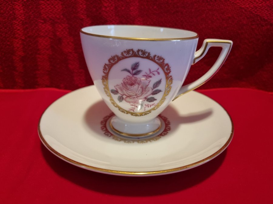 Vintage Kgl Pr Tettau Tettau Bavaria Porcelain Cup and Saucer - Germany
