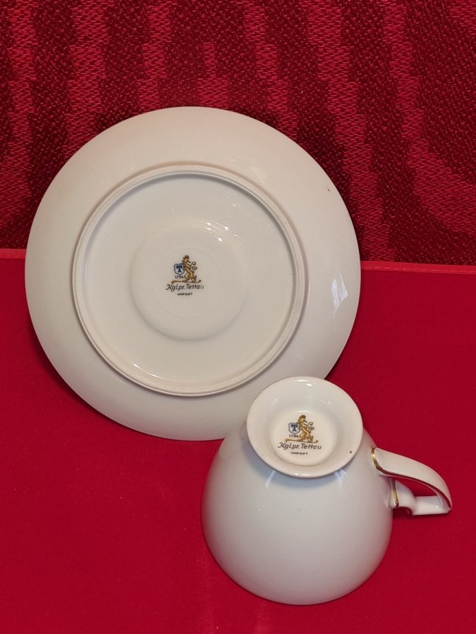 Vintage Kgl Pr Tettau Tettau Bavaria Porcelain Cup and Saucer - Germany