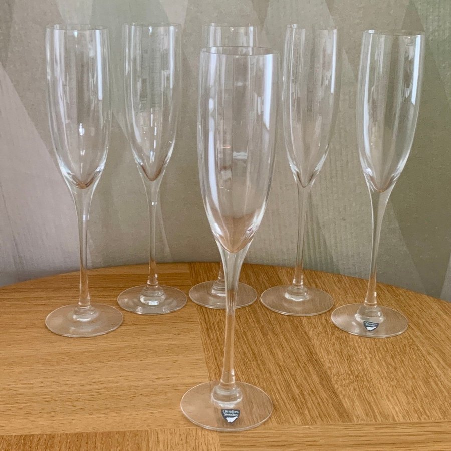 Optica Symphony 6 st Gunnar Cyrén champagneglas Orrefors vintage FINT SKICK glas