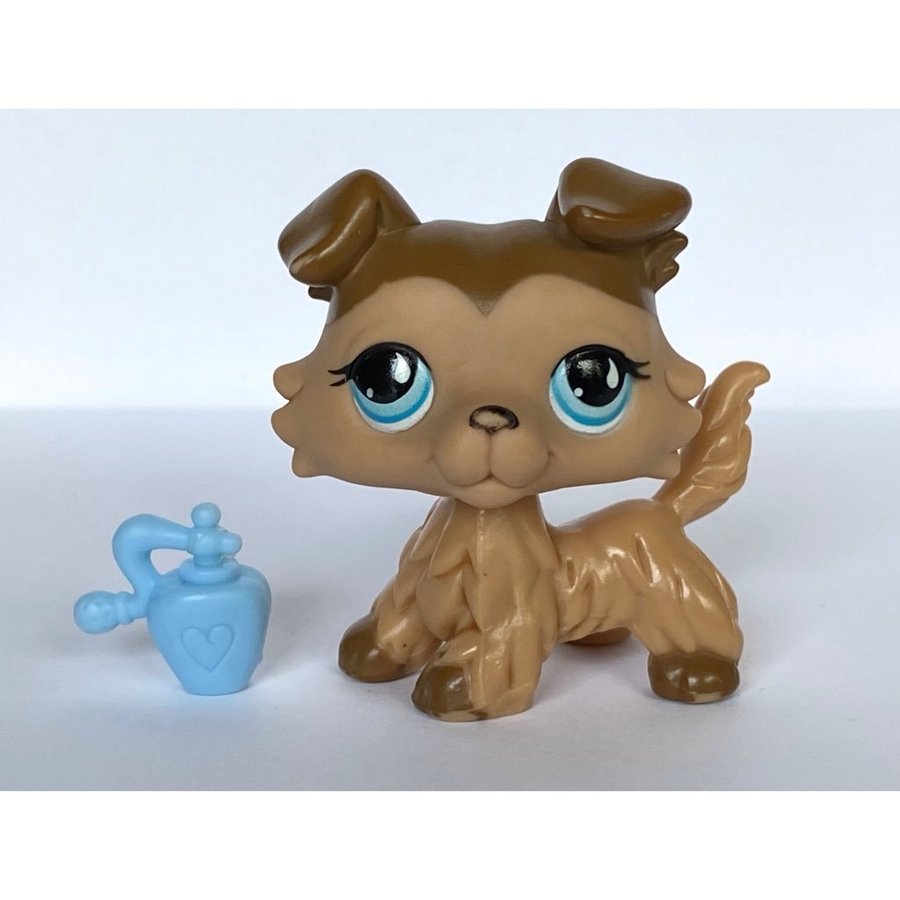 Hund #893 - Littlest Pet Shop - Petshop Petshops Pet shops Lps