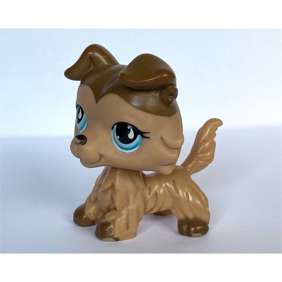 Hund #893 - Littlest Pet Shop - Petshop Petshops Pet shops Lps