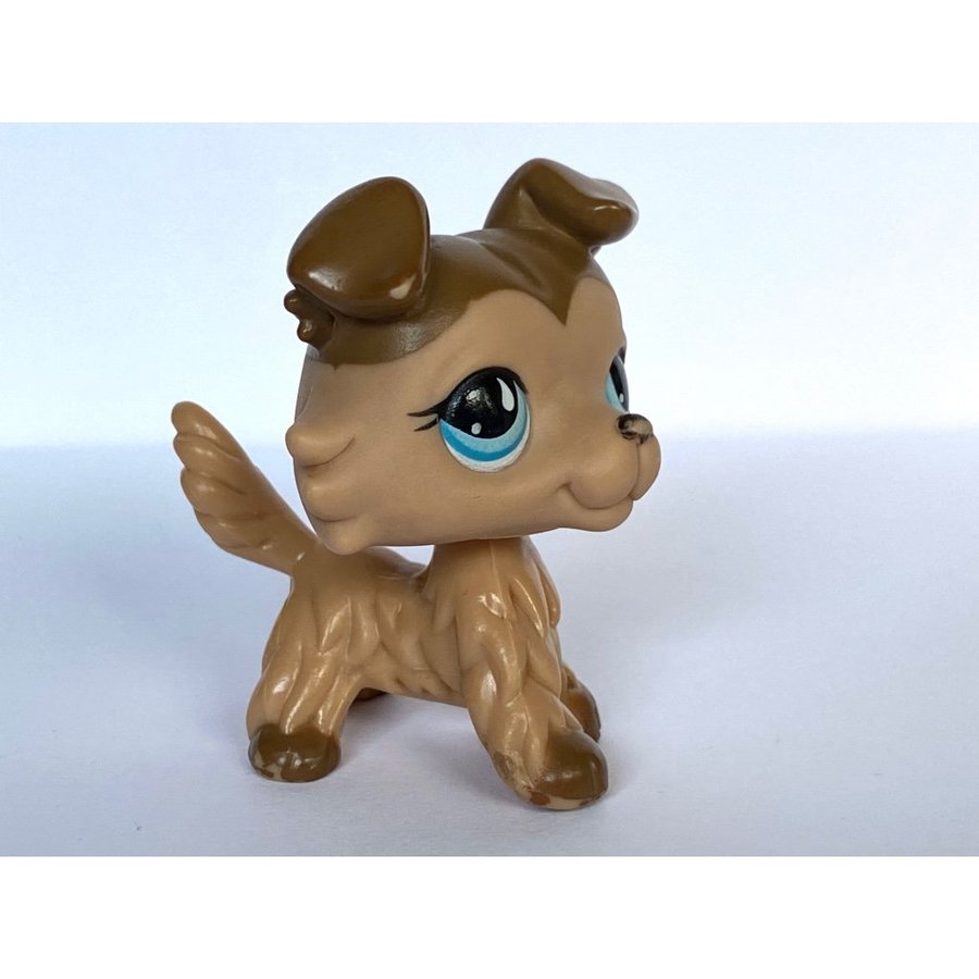 Hund #893 - Littlest Pet Shop - Petshop Petshops Pet shops Lps