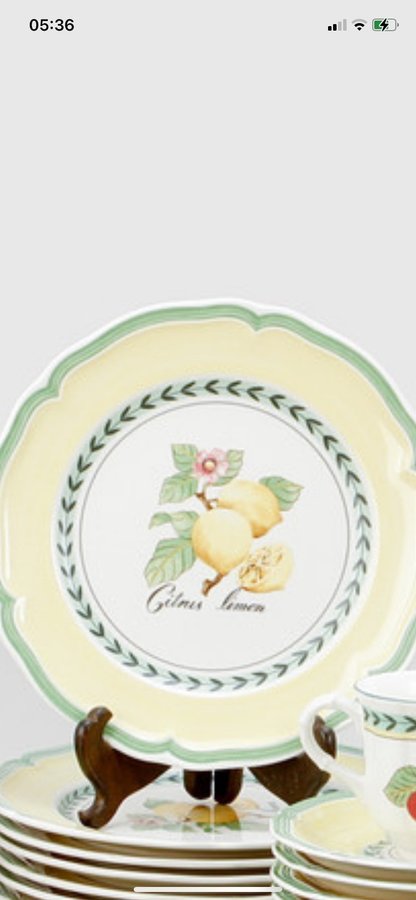 French Garden" Villeroy  Boch 6 förrätstallrikar 21 cmnya oanvända