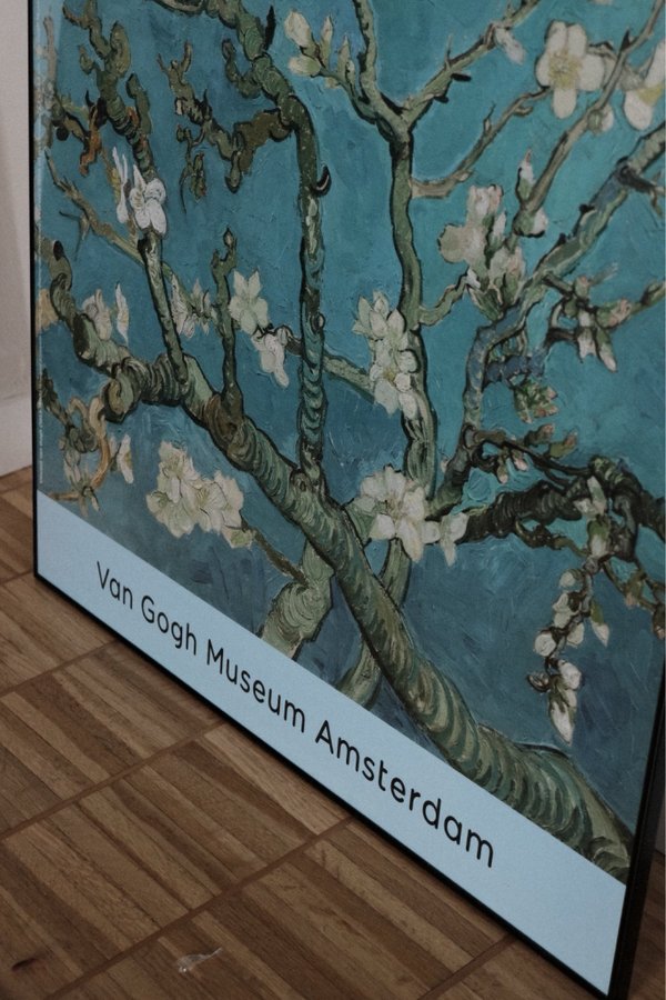 ”Almond blossom” Van Gogh - affisch + svart ram