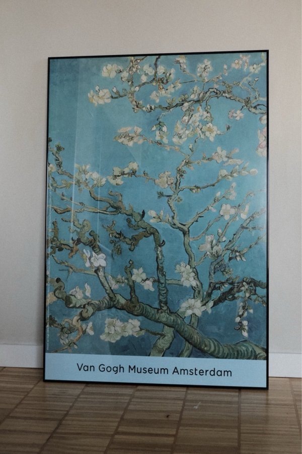 ”Almond blossom” Van Gogh - affisch + svart ram