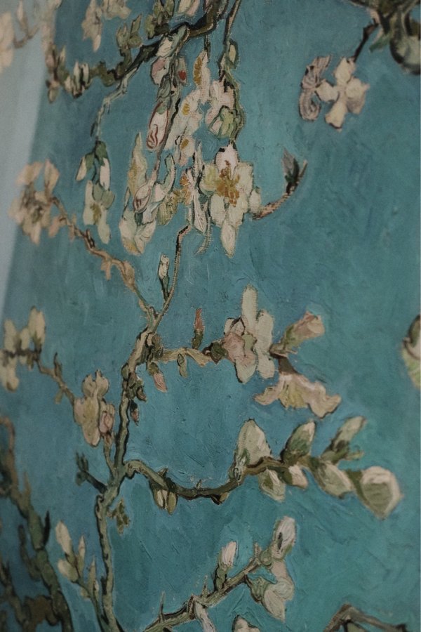 ”Almond blossom” Van Gogh - affisch + svart ram