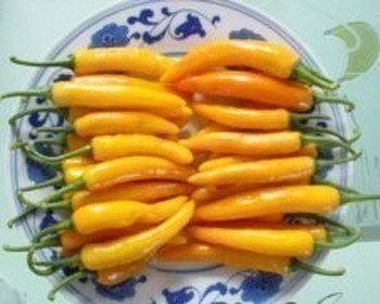Vild gul svärd Chili - " Facing Heaven " chilli pepper - 5 frön