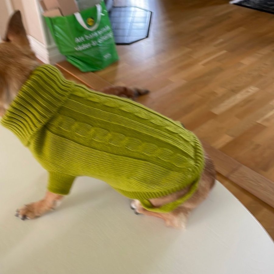 Dogman grön tröja