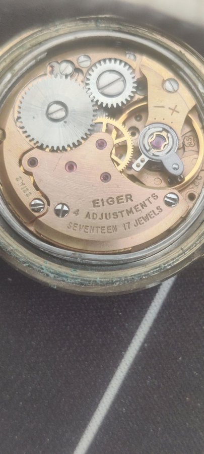 Eiger Superior 17 Jewels