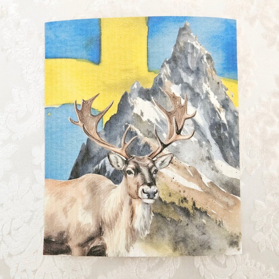 Disktrasa wettex duk med tryck print Sverige Norrland midsommar