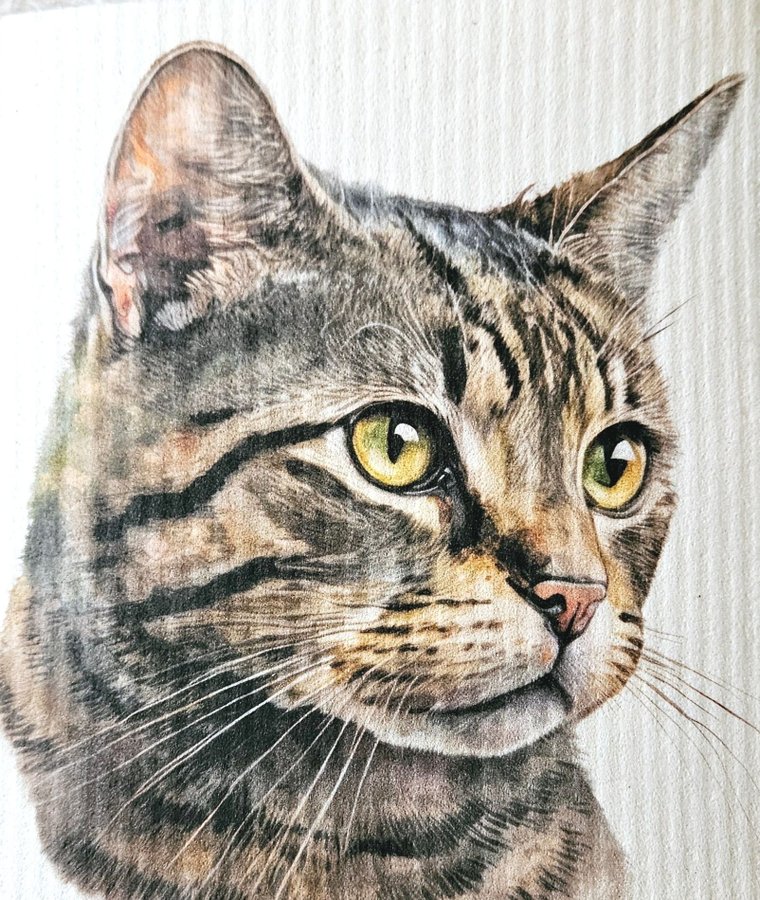 Disktrasa wettex duk med tryck print katten