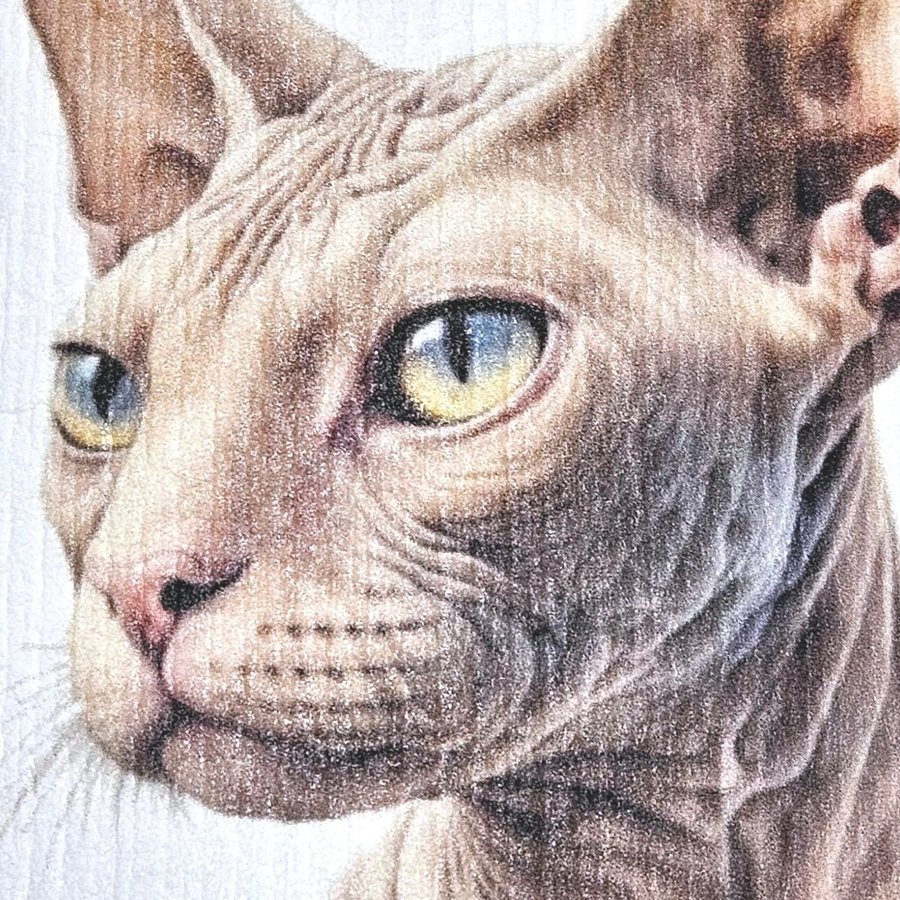 Disktrasa wettex duk med tryck print Sphynx en katt