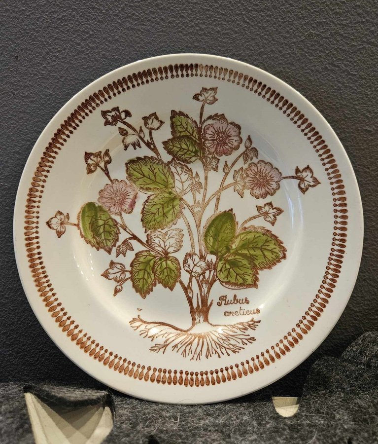 Broadhurst made in England Ironstone a Kathie Winkle with wild flowers