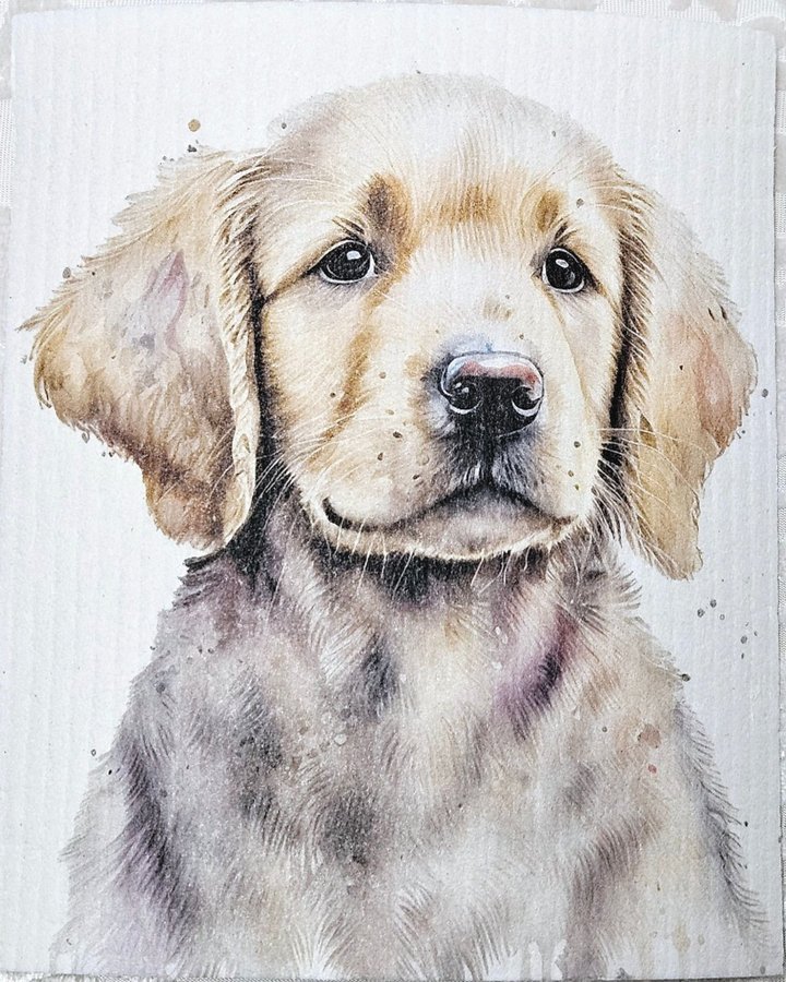 Disktrasa wettex duk med tryck print golden retriever valp hund