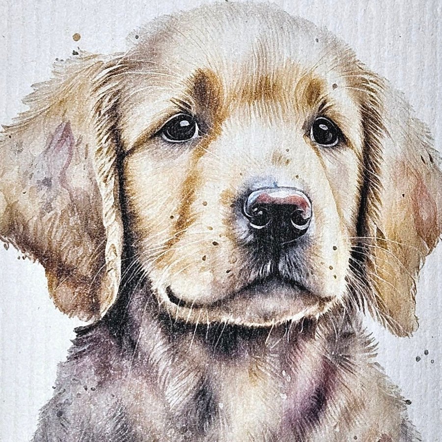 Disktrasa wettex duk med tryck print golden retriever valp hund