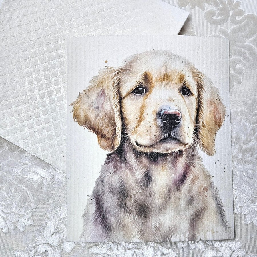 Disktrasa wettex duk med tryck print golden retriever valp hund