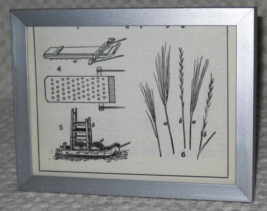 Tavla med inramad bokillustration av J de Vries 1960-tal veteax vintage