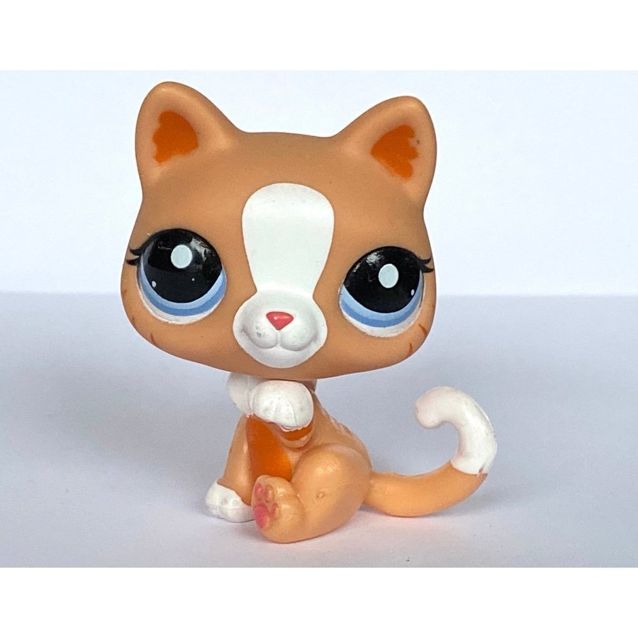 Katt - Littlest Pet Shop - Petshop Petshops Pet shops Lps