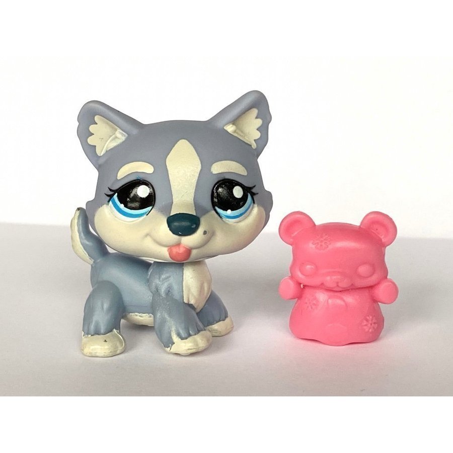 Hund - Littlest Pet Shop - Petshop Petshops Pet shops Lps