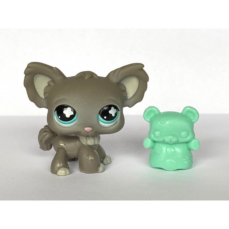 Hund Chihuahua #836 - Littlest Pet Shop - Petshop Petshops Pet shops Lps