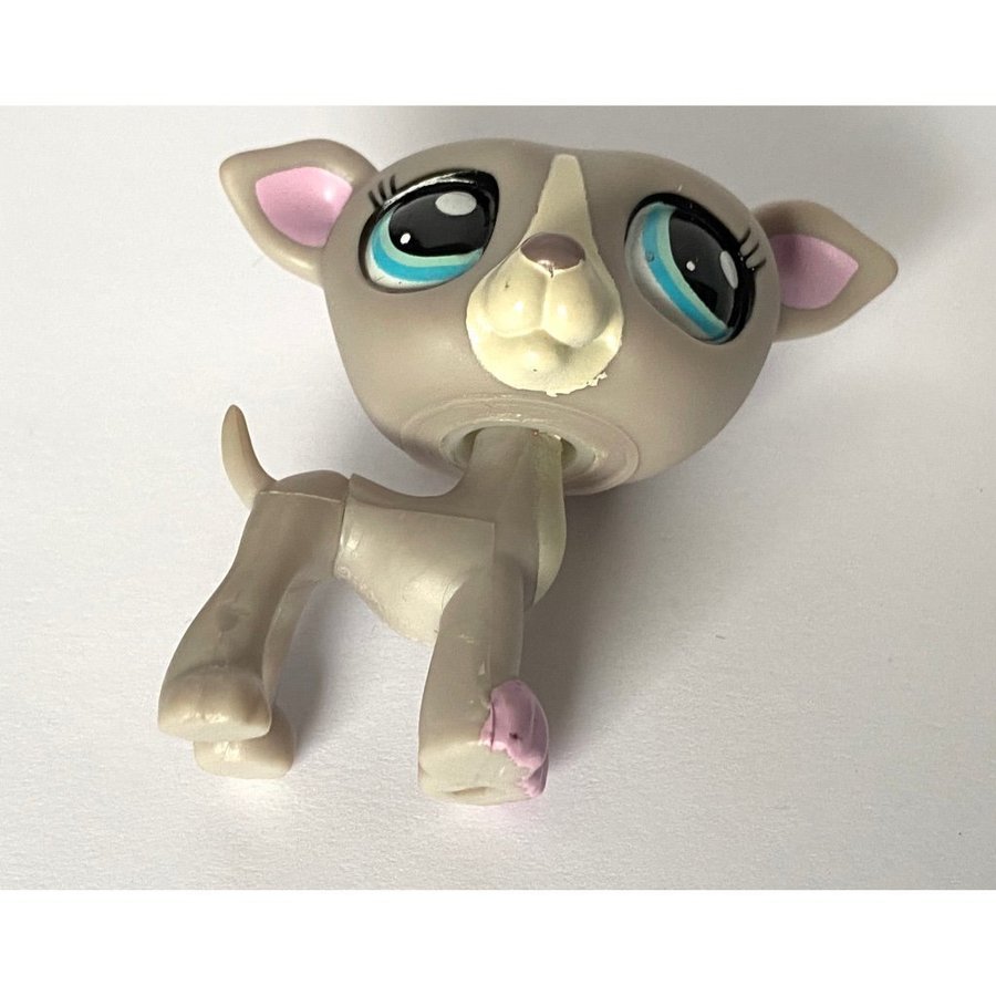 Hund Vinthund - Littlest Pet Shop - Petshop Petshops Pet shops Lps