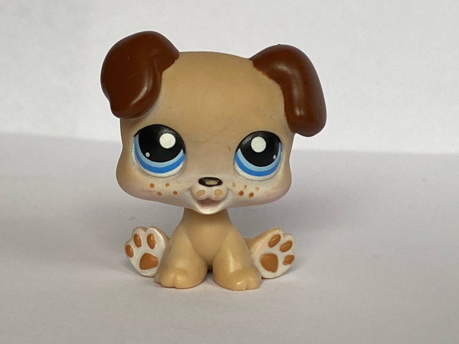 Hund - Littlest Pet Shop - Petshop Petshops Pet shops Lps