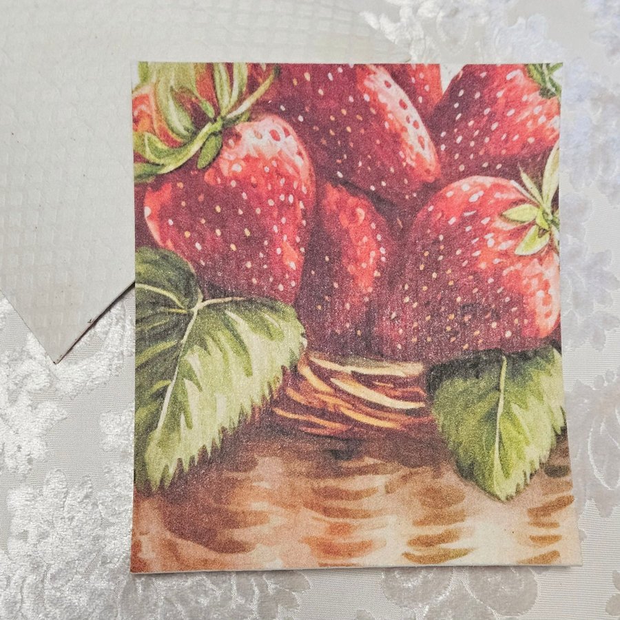 Disktrasa med tryck wettex print jordgubbar