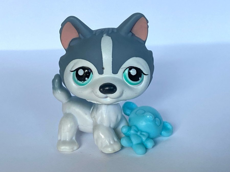 Hund - Littlest Pet Shop - Petshop Petshops Pet shops Lps