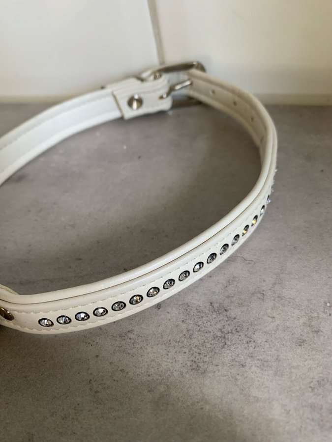 Halsband till hunden med pärlor NYTT