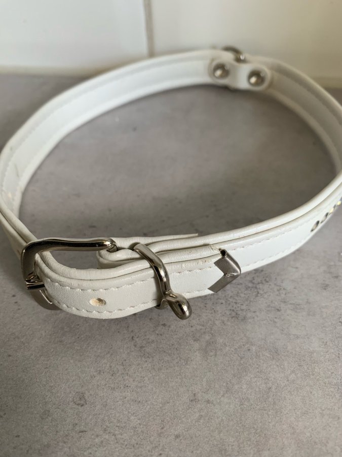 Halsband till hunden med pärlor NYTT