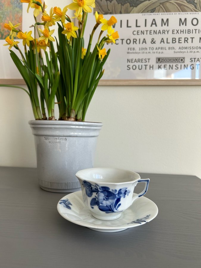 Royal copenhagen Blå Blomst kopp med fat