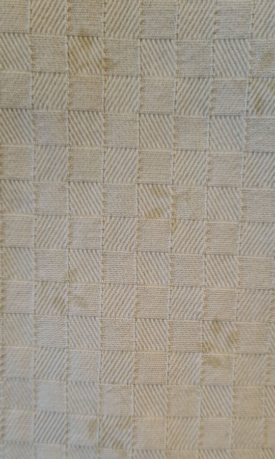 Bordsduk bomull ljusbeige rutig med mönster av defusa blad216x108 cm