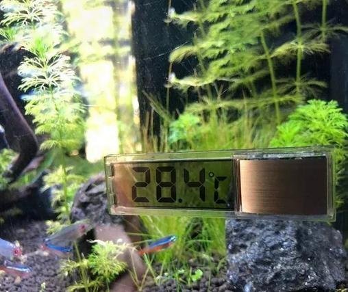 Termometer för akvarie Termometer för Akvarium