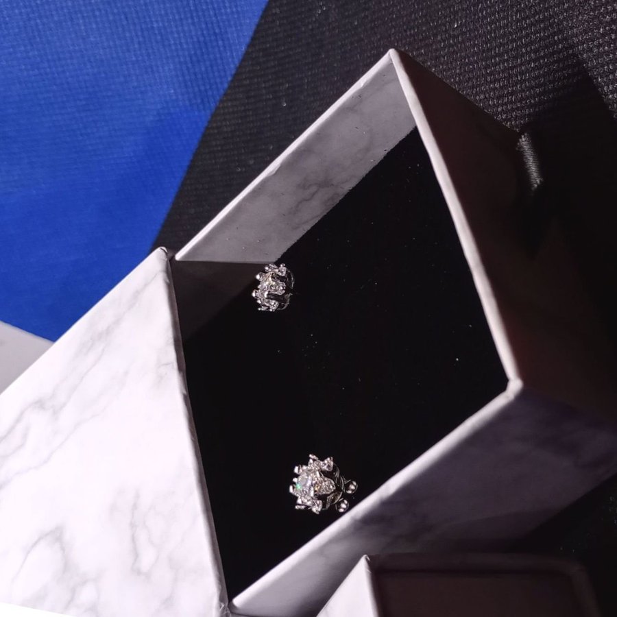 925 Sikver Earrings with Moissanites (Uncertified)