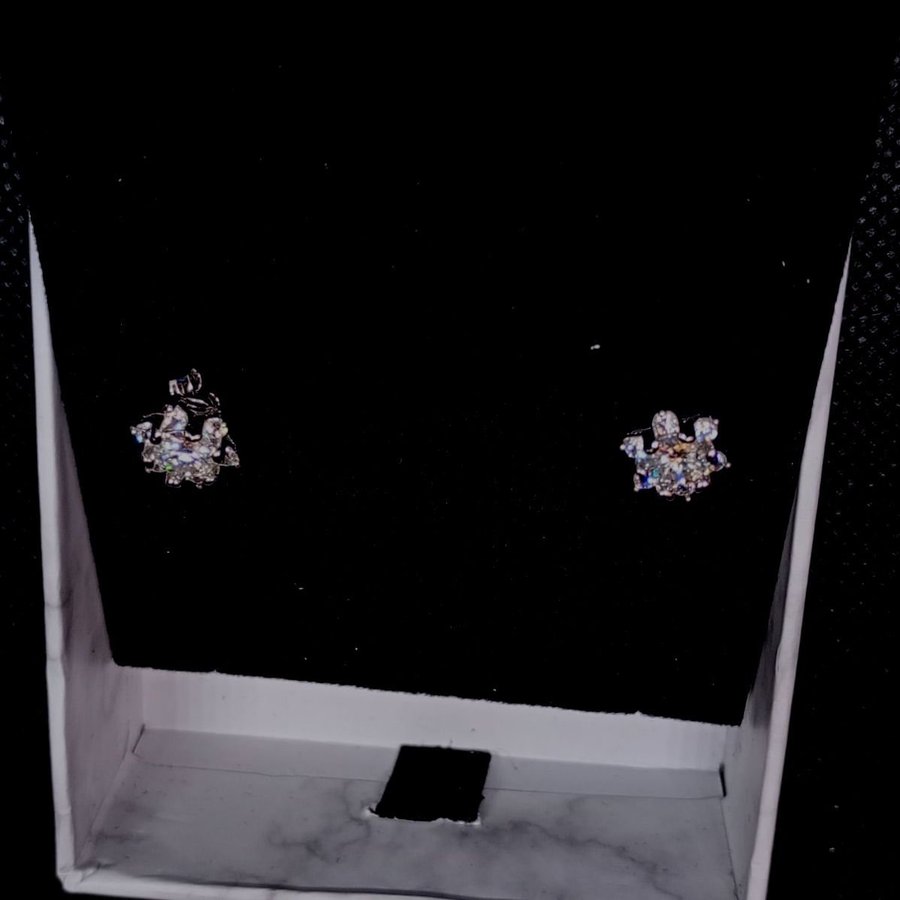 925 Sikver Earrings with Moissanites (Uncertified)
