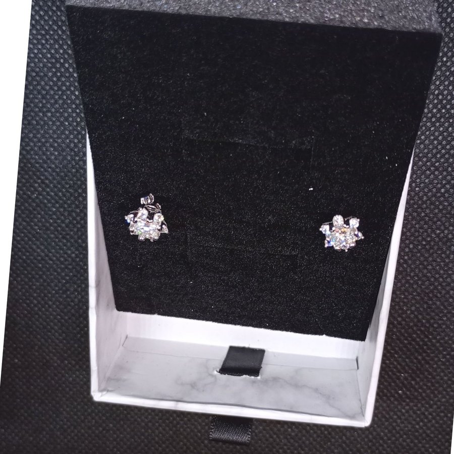 925 Sikver Earrings with Moissanites (Uncertified)