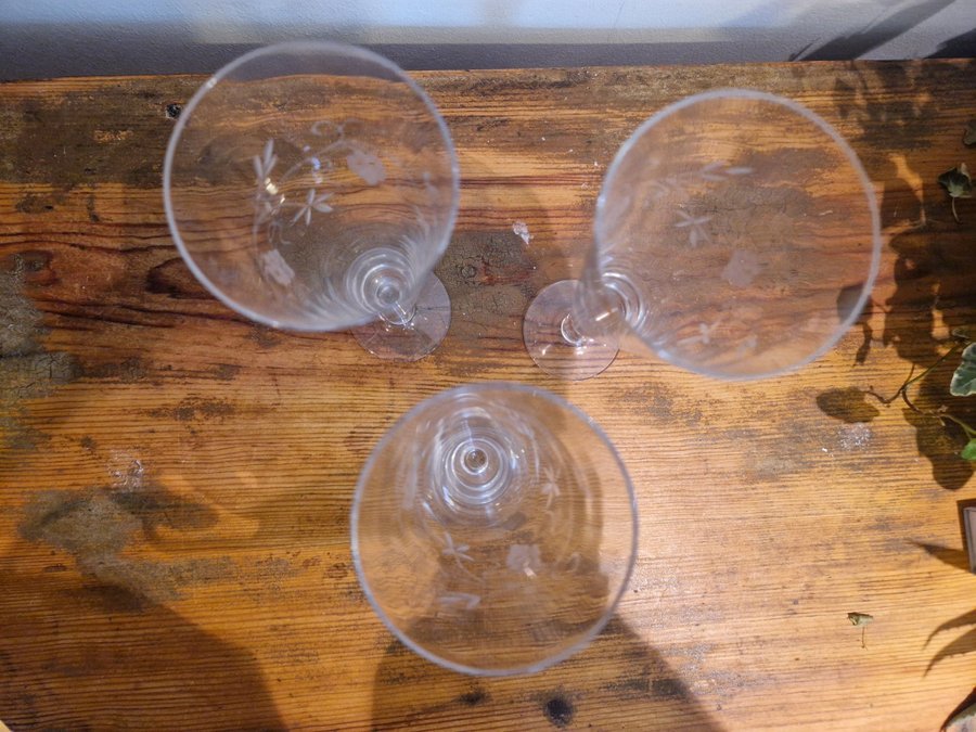 3 st fina äldre champagneglas svensk glas etsad dekor vinranka 30-50 tal RETRO