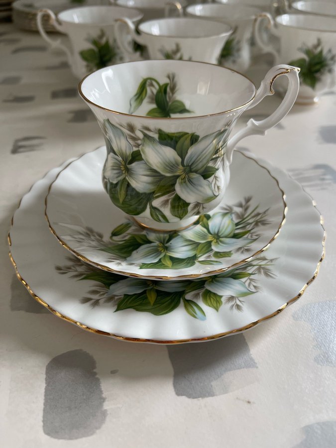 Kaffeservis Royal Albert Trillium