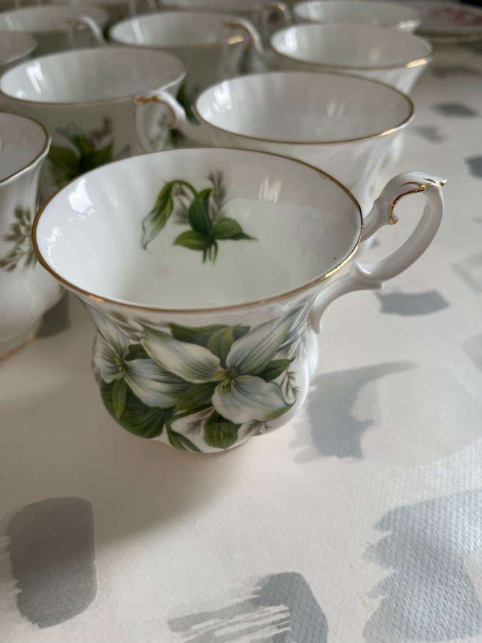 Kaffeservis Royal Albert Trillium